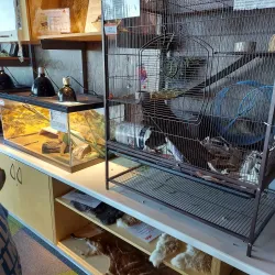 Prairiefire Shopping and Dining - Leawood