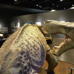 The Museum at Prairiefire - Leawood