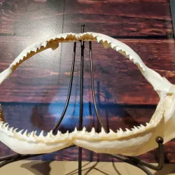 The Museum at Prairiefire - Leawood