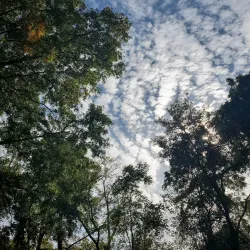 Tomahawk Creek Trail - Leawood