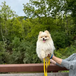 Tomahawk Creek Trail - Leawood