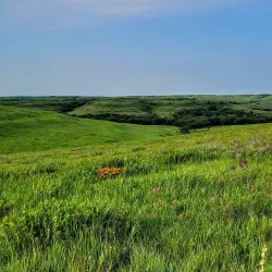 Konza Prairie Biological Station - Manhattan