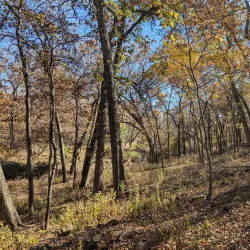 Ernie Miller Nature Center - Overland Park