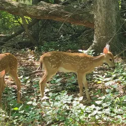 Ernie Miller Nature Center - Overland Park