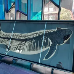 Museum at Prairiefire - Overland Park