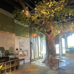 Museum at Prairiefire - Overland Park