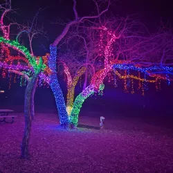 Overland Park Arboretum and Botanical Gardens - Overland Park