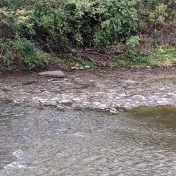 Shawnee Mission Park - Overland Park