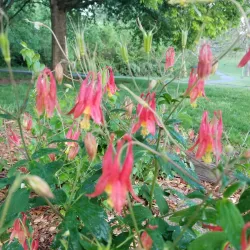 Shawnee Mission Park - Overland Park