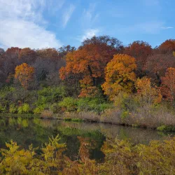 Shawnee Mission Park - Overland Park