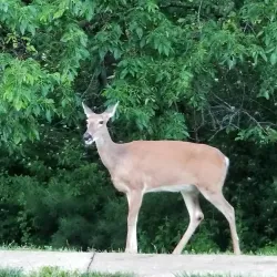 Shawnee Mission Park - Overland Park