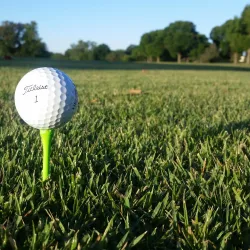 Sunflower Hills Golf Course - Paola