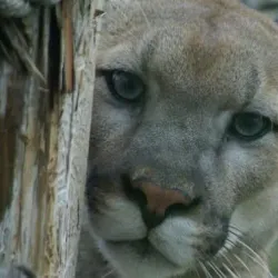 Rolling Hills Zoo - Salina