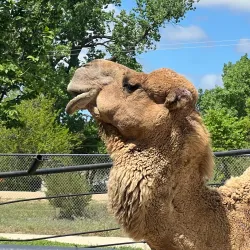 Rolling Hills Zoo - Salina
