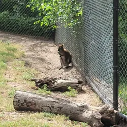 Rolling Hills Zoo - Salina