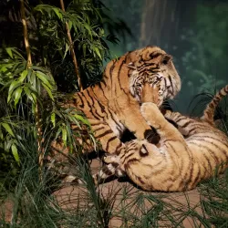 Rolling Hills Zoo - Salina