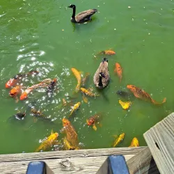 Rolling Hills Zoo - Salina