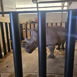 Rolling Hills Zoo - Salina