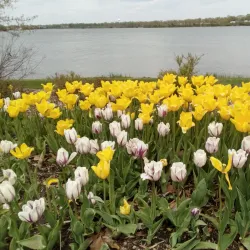 Lake Shawnee - Topeka