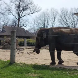 Topeka Zoo - Topeka