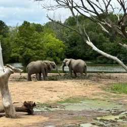 Sedgwick County Zoo - Wichita
