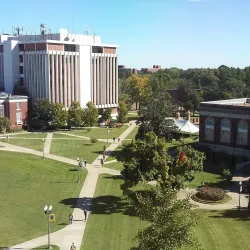 Murray State University - Arlington