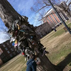 Murray State University - Arlington