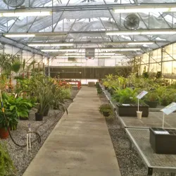 Murray State University - Arlington