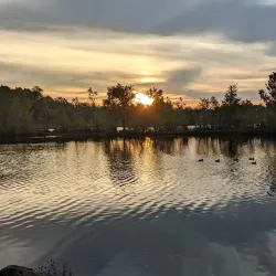 Basil Griffin Park - Bowling Green