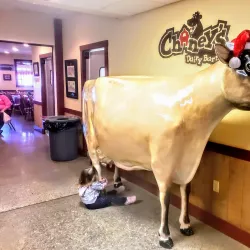 Chaney's Dairy Barn - Bowling Green