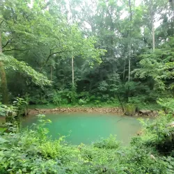 Lost River Cave & Valley Nature Preserve - Bowling Green