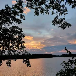 A.J. Jolly Park - Burlington