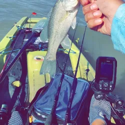 A.J. Jolly Park - Burlington