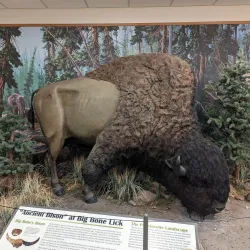 Big Bone Lick State Historic Site - Burlington