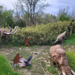 Big Bone Lick State Historic Site - Burlington