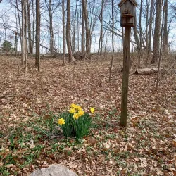Boone County Arboretum - Burlington