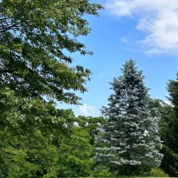 Burlington Community Park - Burlington