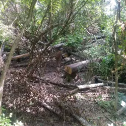 Burlington Historic District - Burlington