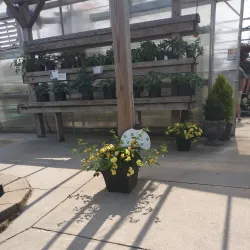 Burlington Historic District - Burlington