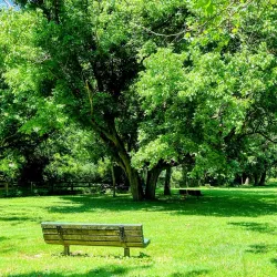 Pioneer Park - Burlington