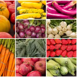 Campbellsville Farmers Market - Campbellsville