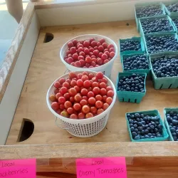 Campbellsville Farmers Market - Campbellsville