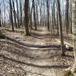 Green River Lake State Park - Campbellsville