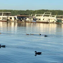 Green River Lake Marina - Columbia