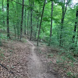 Green River Lake Trail System - Columbia