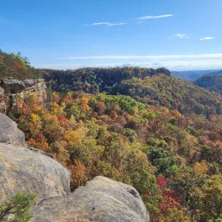 Daniel Boone National Forest - Corbin
