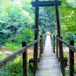 Daniel Boone National Forest - Corbin