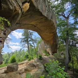 Daniel Boone National Forest - Corbin