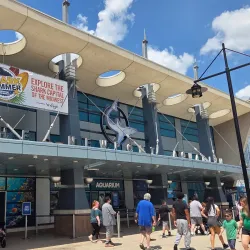 Newport Aquarium - Edgewood