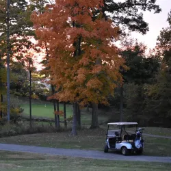 World of Golf - Florence